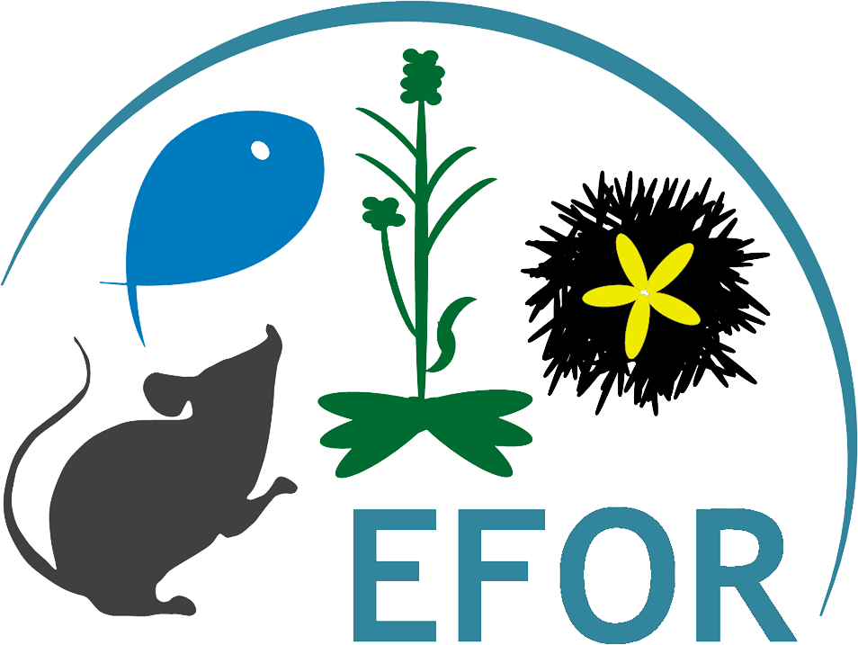 Logo du colloque