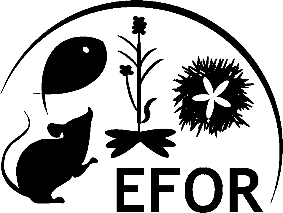 Logo du colloque